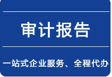 出具税务审计报告的流程是怎样的?