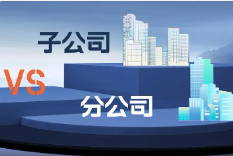 　　分公司VS子公司：如何选择？ 　