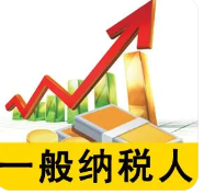 　一般纳税人的五大优点